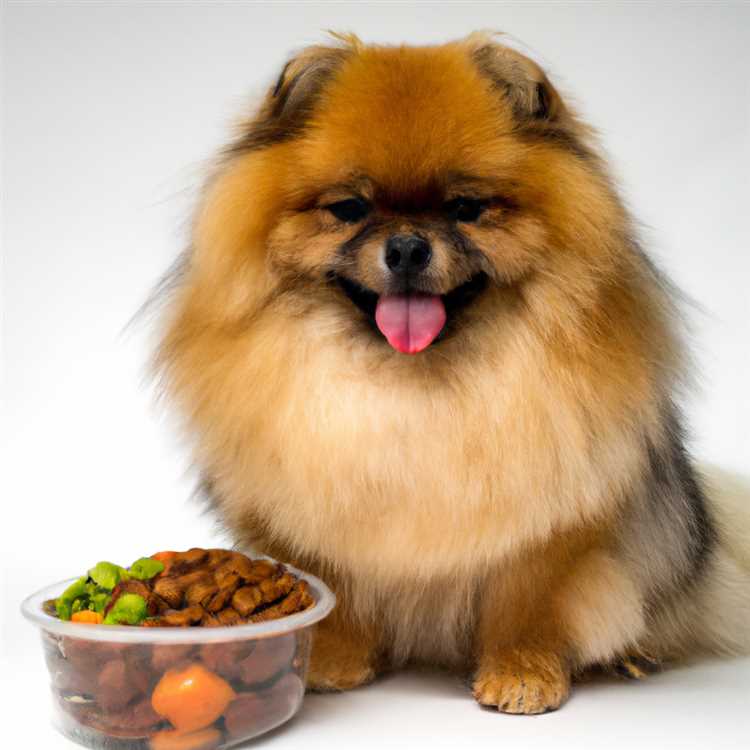 Шпиц ВК: натуральное здоровое питание для собак