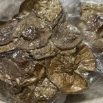 Нижегородские мухоморы урожая 2025 года — эталон качества и пользы