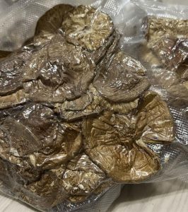 Нижегородские мухоморы урожая 2025 года — эталон качества и пользы