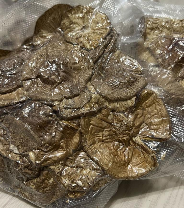 Нижегородские мухоморы урожая 2025 года — эталон качества и пользы